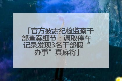 官方披露纪检监察干部查案细节：调取停车记录发现3名干部假“办事”真麻将