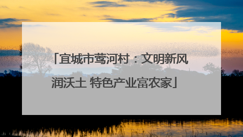 宜城市莺河村：文明新风润沃土 特色产业富农家