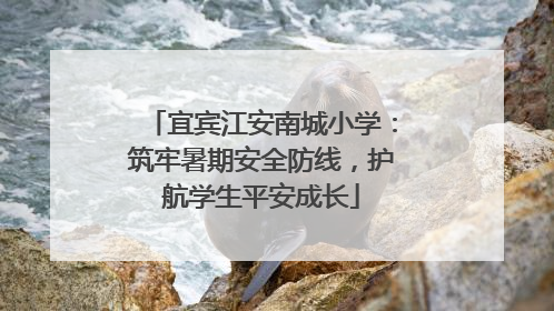 宜宾江安南城小学：筑牢暑期安全防线，护航学生平安成长