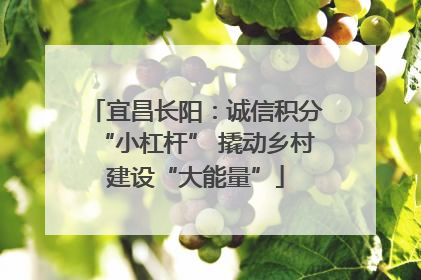 宜昌长阳：诚信积分“小杠杆” 撬动乡村建设“大能量”