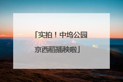 实拍！中坞公园京西稻插秧啦