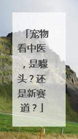 宠物看中医，是噱头？还是新赛道？