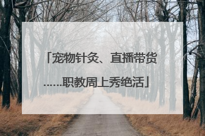 宠物针灸、直播带货……职教周上秀绝活