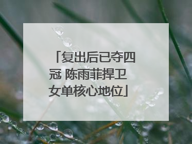 复出后已夺四冠 陈雨菲捍卫女单核心地位