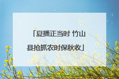 夏播正当时 竹山县抢抓农时保秋收