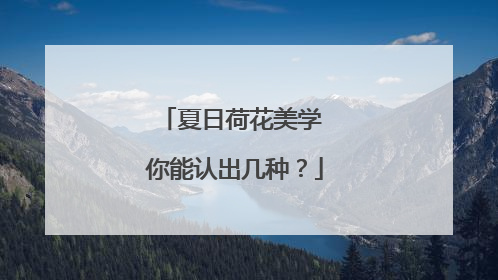 夏日荷花美学 你能认出几种？