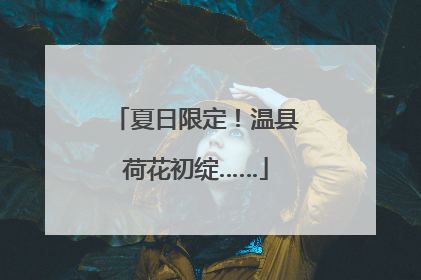 夏日限定！温县荷花初绽……