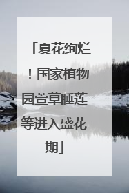 夏花绚烂！国家植物园萱草睡莲等进入盛花期