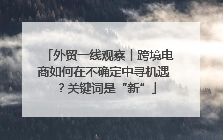 外贸一线观察丨跨境电商如何在不确定中寻机遇？关键词是“新”