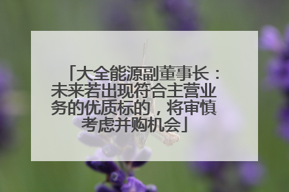大全能源副董事长：未来若出现符合主营业务的优质标的，将审慎考虑并购机会