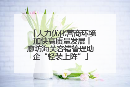 大力优化营商环境 加快高质量发展丨廊坊海关容错管理助企“轻装上阵”