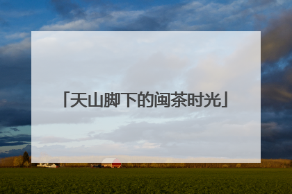 天山脚下的闽茶时光