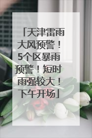 天津雷雨大风预警！5个区暴雨预警！短时雨强较大！下午开场