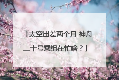 太空出差两个月 神舟二十号乘组在忙啥？