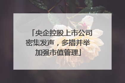 央企控股上市公司密集发声，多措并举加强市值管理