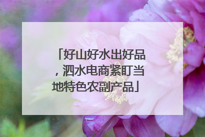 好山好水出好品，泗水电商紧盯当地特色农副产品