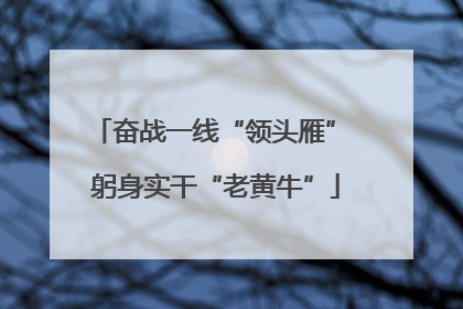 奋战一线“领头雁” 躬身实干“老黄牛”