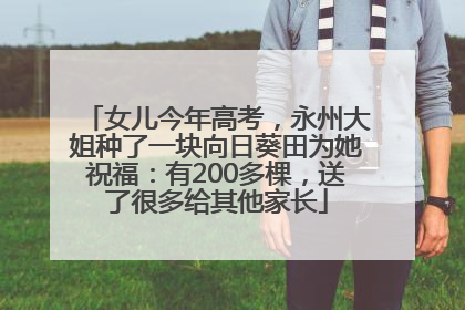 女儿今年高考，永州大姐种了一块向日葵田为她祝福：有200多棵，送了很多给其他家长