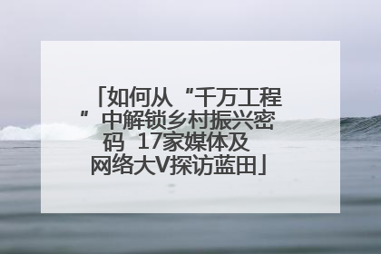 如何从“千万工程”中解锁乡村振兴密码  17家媒体及网络大V探访蓝田