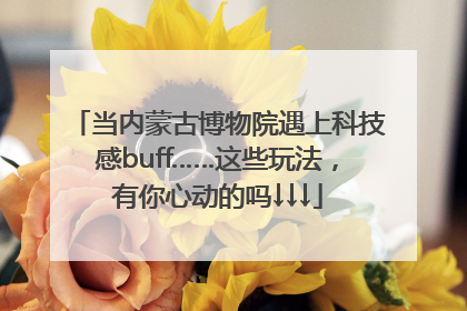 当内蒙古博物院遇上科技感buff……这些玩法，有你心动的吗↓↓↓