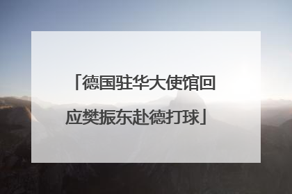 德国驻华大使馆回应樊振东赴德打球
