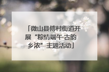 微山县傅村街道开展“粽情端午·古韵乡浓”主题活动