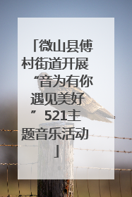 微山县傅村街道开展“音为有你 遇见美好”521主题音乐活动