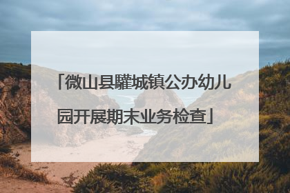 微山县驩城镇公办幼儿园开展期末业务检查