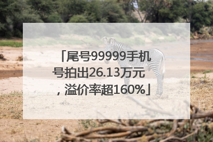 尾号99999手机号拍出26.13万元，溢价率超160%