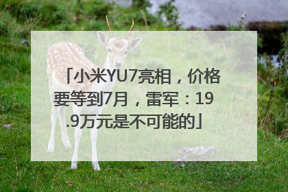 小米YU7亮相，价格要等到7月，雷军：19.9万元是不可能的