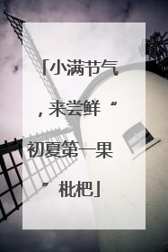 小满节气，来尝鲜“初夏第一果”枇杷
