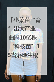 小菜苗“育”出大产业 曲周10亿株“科技苗”15省落地生根