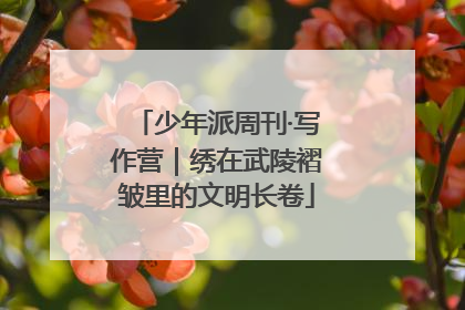 少年派周刊·写作营｜绣在武陵褶皱里的文明长卷