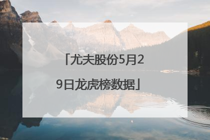 尤夫股份5月29日龙虎榜数据