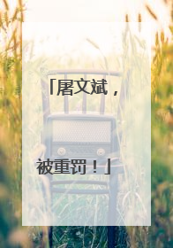 屠文斌，被重罚！