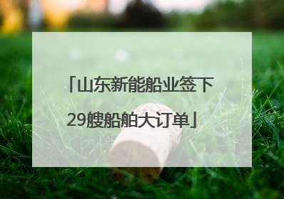 山东新能船业签下29艘船舶大订单