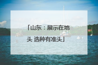 山东：展示在地头 选种有准头