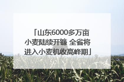 山东6000多万亩小麦陆续开镰 全省将进入小麦机收高峰期