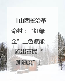山西长治革命村：“红绿金”三色赋能 跑出富民“加速度”