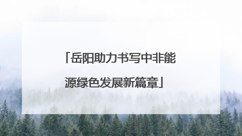 岳阳助力书写中非能源绿色发展新篇章
