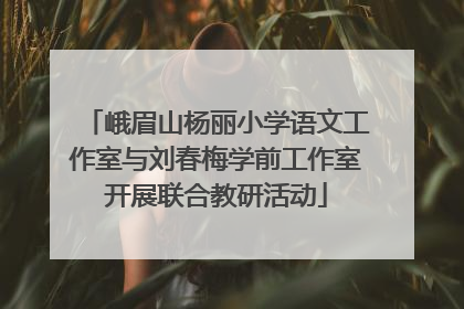 峨眉山杨丽小学语文工作室与刘春梅学前工作室开展联合教研活动