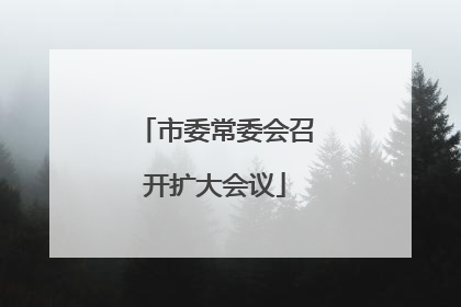 市委常委会召开扩大会议