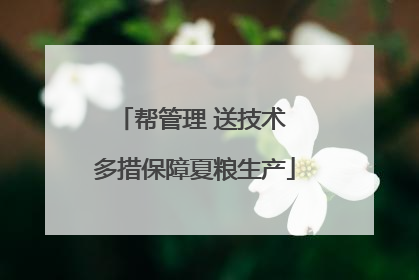 帮管理 送技术 多措保障夏粮生产