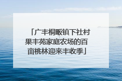 广丰桐畈镇下社村果丰苑家庭农场的百亩桃林迎来丰收季