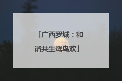 广西罗城：和谐共生鹭鸟欢