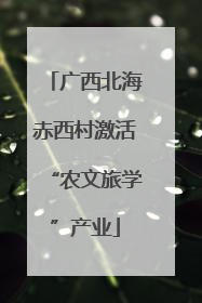 广西北海赤西村激活“农文旅学”产业