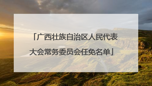 广西壮族自治区人民代表大会常务委员会任免名单