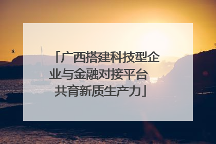 广西搭建科技型企业与金融对接平台 共育新质生产力