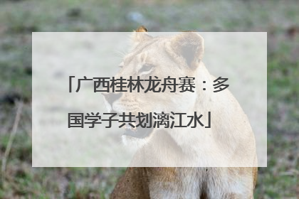 广西桂林龙舟赛：多国学子共划漓江水