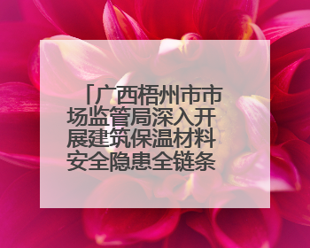 广西梧州市市场监管局深入开展建筑保温材料安全隐患全链条整治行动